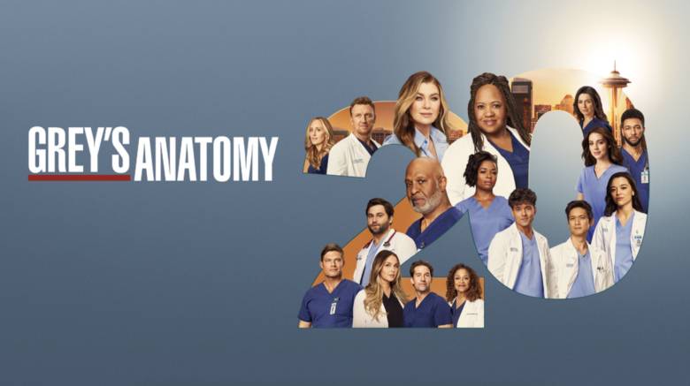 Grey's Anatomy: Burn It Down (Season 20 Finale ABC, May 30, 2024 ...