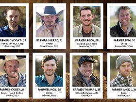 Headshots of the 2025 Farmers for Channel 7's Farmer Wants a Wife.