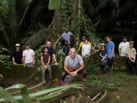 Ed Stafford Into the Jungle