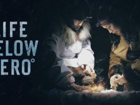 Life Below Zero Key Art